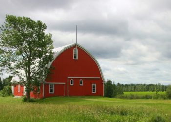 TOTUUTTA KOHTI VIEVÄN TIEN LÖYTÄMINEN: MIKSI MINUSTA TULI MUSLIMI