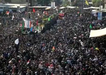 ERI SHIIALAISLAHKOJEN YMMÄRTÄMINEN JA LUOKITTELU