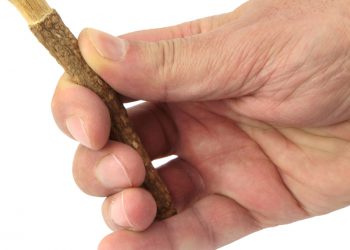 MISWAAKIN KÄYTTÖ PAASTON AIKANA