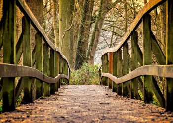 MITÄ ON AS-SALAFIJJA