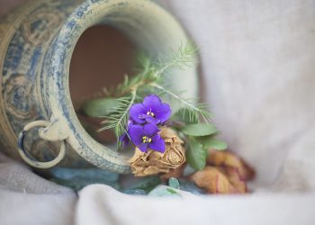 AINEELLINEN ELATUSKEINO