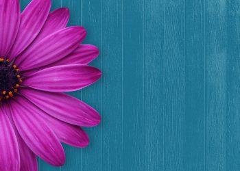 TÄSTÄ SYYSTÄ YRITÄN PYSYÄ KÄRSIVÄLLISENÄ!