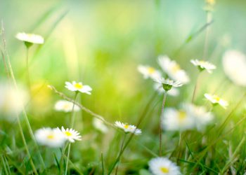 7 SYYTÄ LUKEA PYHÄ KORAANI