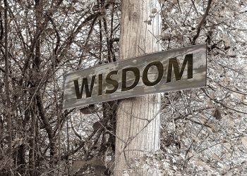 OPPINEEN NEUVO SALAFI PUBLICATIONS’LLE