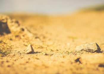 KUOLEMAN TODELLISUUS