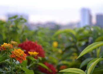 VARTALONI ON OMA ASIANI