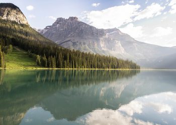 ALLAAHIN PALVONTA RAKKAUDELLA, PELOLLA JA TOIVOLLA