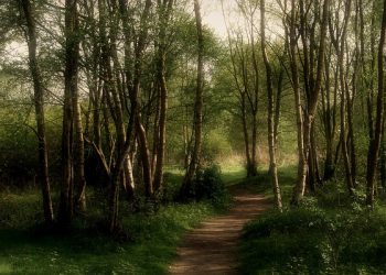 KOSKIEN SUUSEKSIÄ VAROITUS: VAIN AIKUISILLE