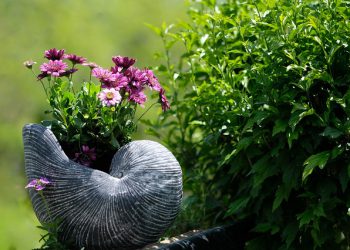 PALVELIJA KUULUU TÄYSIN ALLAAHILLE