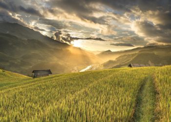 ISLAAM – ONKO SE TERRORIN USKONTO?