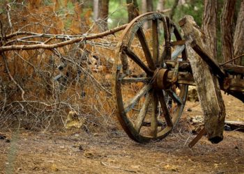 SHEIKH SAALIH AL-LUHAYDAAN SANOO USA:SSA TAPAHTUNEET TAPPAVAT ISKUT OVAT ”HIRVEÄ RIKOS”…