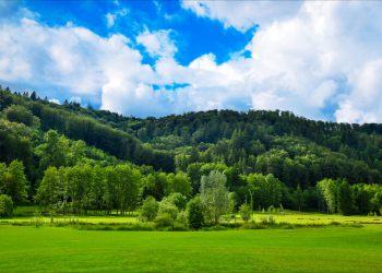 SINÄ SYNNYIT ILMAN SYNTIÄ