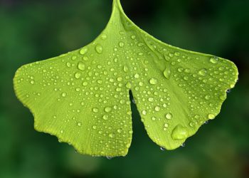 PAASTOTESSAAN HÄN KIIHOTTUU JA SITTEN MASTURBOI