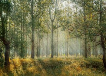 TUNNE ALLAAH VAURAUDESSA, HÄN ON TUNTEVA SINUT VASTOINKÄYMISESSÄ