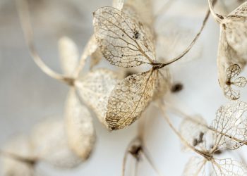 MITEN SAAVUTTAA TAQWAA