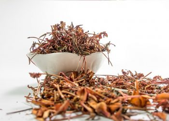 PUHDISTAUTUMISEN NELJÄ TASOA