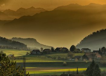 ONKO PAASTOAMISESTA HYÖTYÄ YHTEISKUNNALLE?