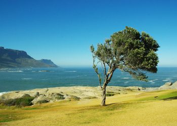 PÄÄTÖS KOSKIEN HÄNTÄ JOKA TULEE VIHAISEKSI KUN HÄNELLE SATTUU KOETTELEMUS