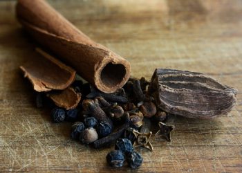 NEUVO ALOITTELIJALLE TIEDON HAUN SUHTEEN