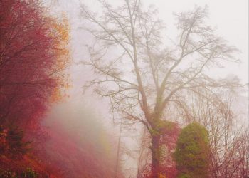 VÄÄRINKÄSITYS NRO 3: ISLAAMIN OPETUKSET EIVÄT SOVI MEIDÄN AIKAAMME