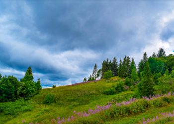 VARTALONI ON OMA ASIANI
