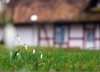 ISLAAM JA TERRORISMI