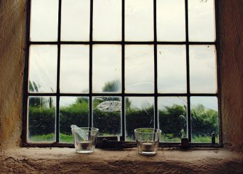 LUOMAKUNNAN ENSIMMÄINEN VELVOLLISUUS