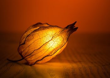 TEE LOPPU VÄLISELLENNE VIHALLE JA ILKEYDELLE