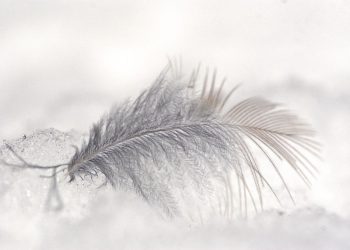 PIDÄ KIINNI SUNNASTA MISSÄ TAHANSA OLETKAAN