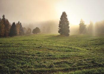 PROFEETAN SYNTYMÄPÄIVÄÄ VARTEN TEURASTETUN LIHAN SYÖMINEN