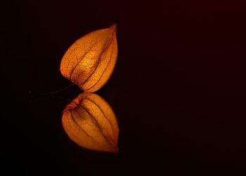 ÄLÄ MENETÄ TOIVOA ALLAAHIN ARMOON