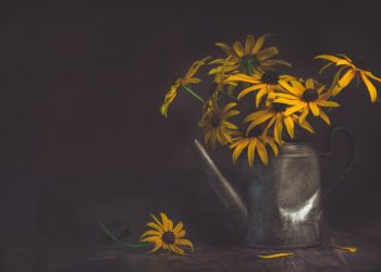 MIELIHYVÄN TUNNE SYNTIEN HYLKÄÄMISESTÄ