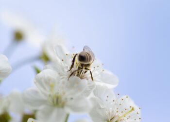 TIEDÄTKÖ MINNE DHIKR MENEE?