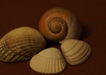 LAILLISEN SYYN IHMISTEN PAASTO