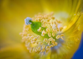 ON MONIA PARATIISEJA